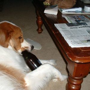 Meet your Posher, Sheila